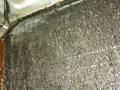 WhatsApp Image 2026-06-21 at 11.16.42 PM